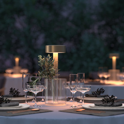 Maytoni AI Collaboration LED portable table light