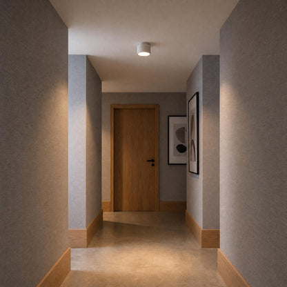 VK Light Eos G9 ceiling light