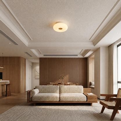 VK Light Oak LED Ceiling light